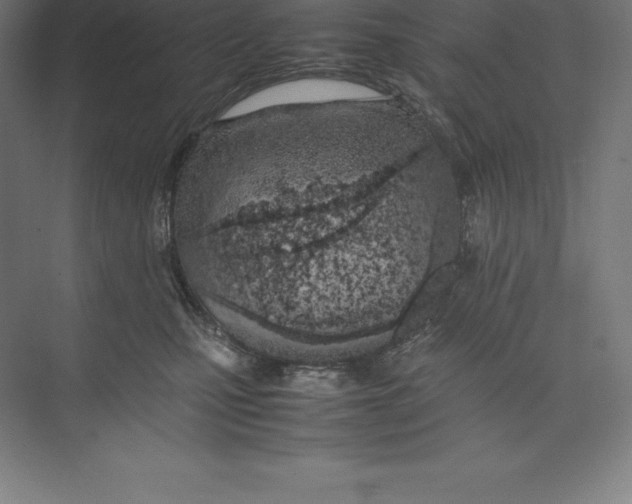 X0000074930471200609221643