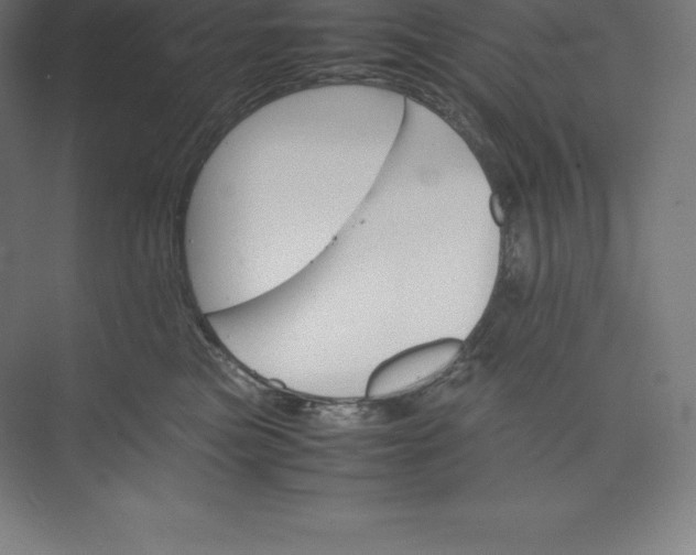 X0000074930473200609221644