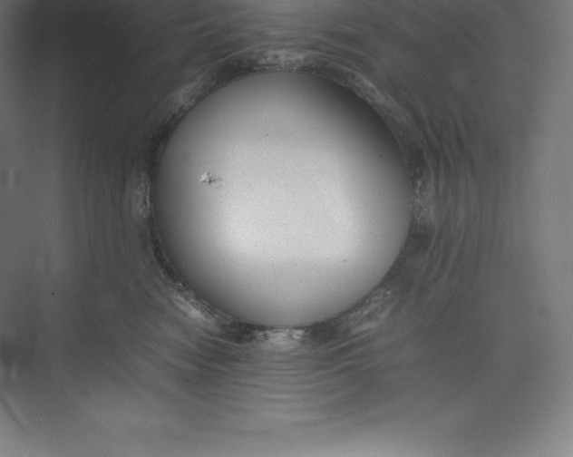 X0000074930474200609221644