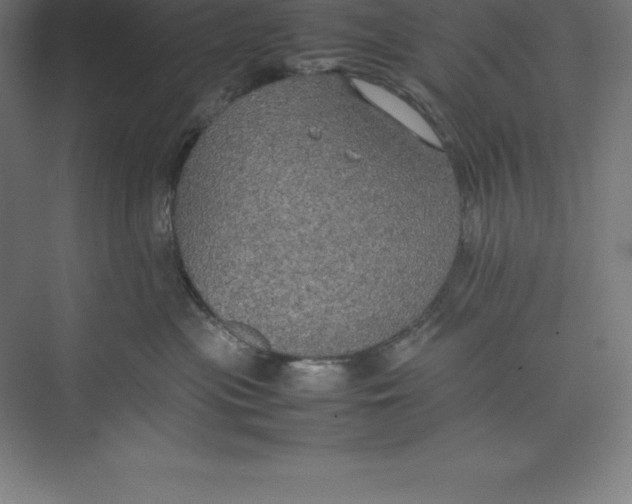 X0000074930477200609221644