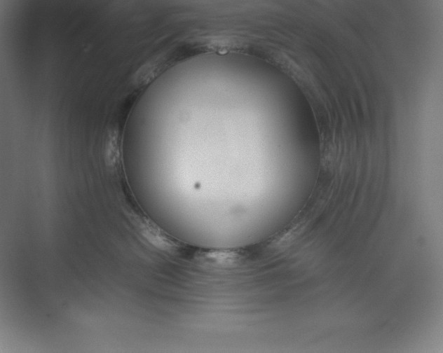 X0000074930478200609221644