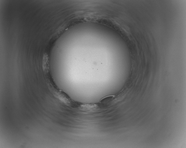 X0000074930480200609221644