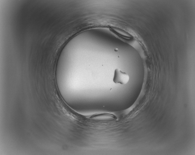 X0000074930481200609221643