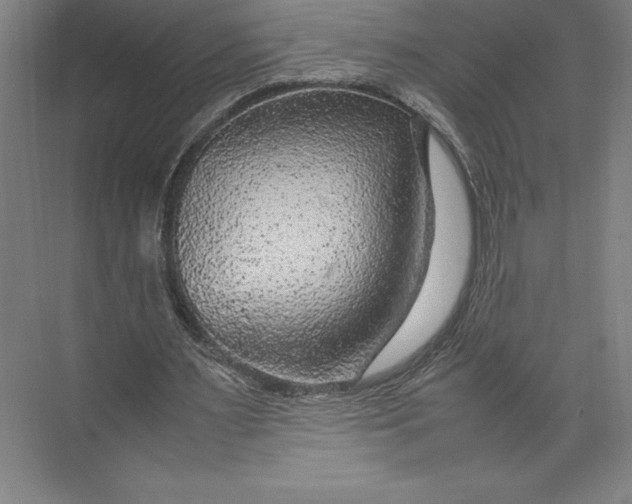 X0000074930483200609221643