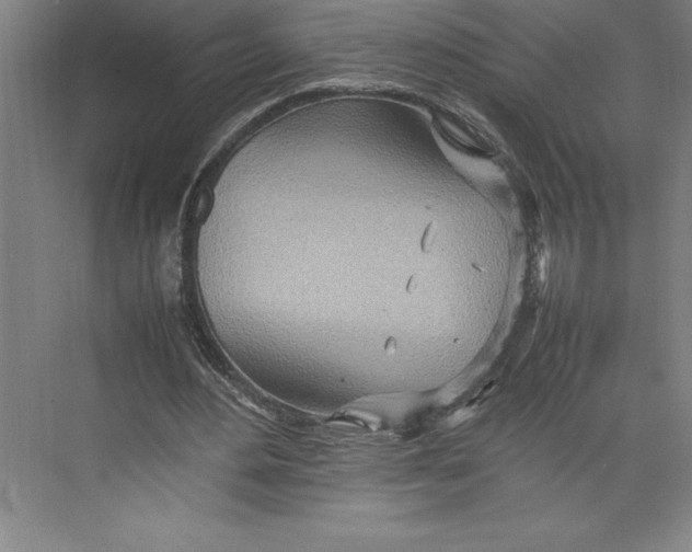 X0000074930484200609221643