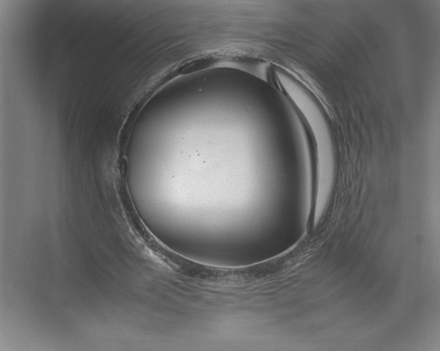 X0000074930485200609221643