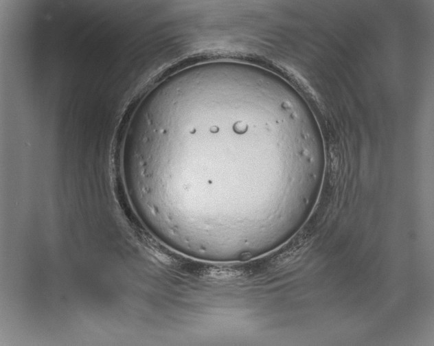 X0000074930487200609221643