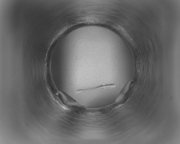 X0000074930488200609221643