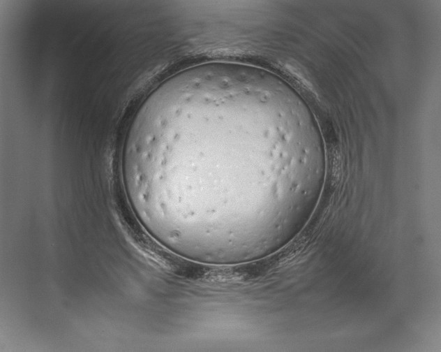 X0000074930491200609221643