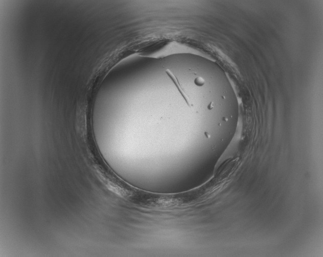 X0000074930493200609221643