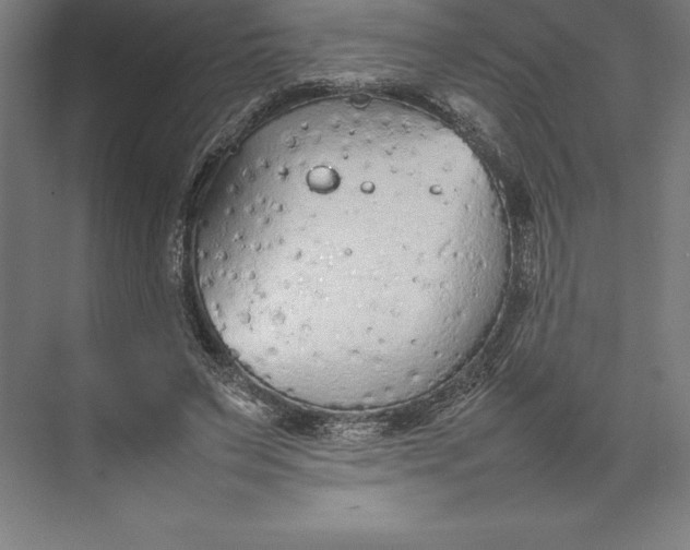 X0000074930495200609221643