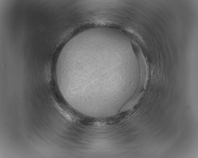 X0000074930496200609221643