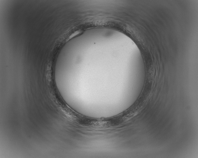 X0000074930497200609221643