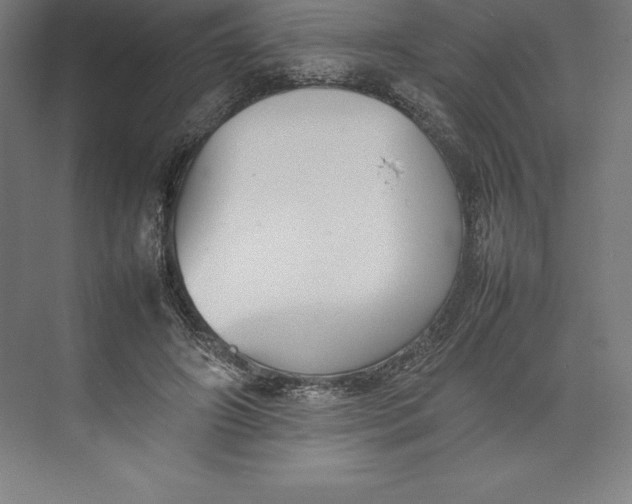 X0000074930498200609221643