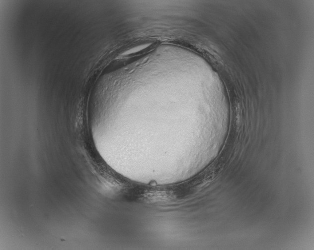 X0000074930499200609221643