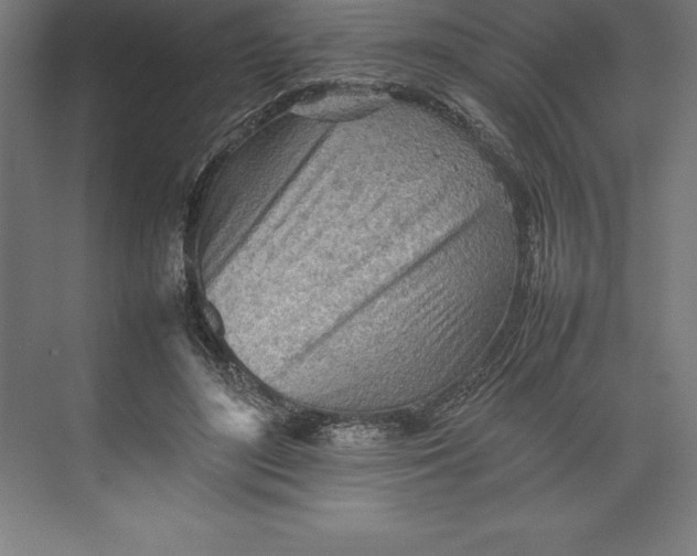 X0000074930500200609221642