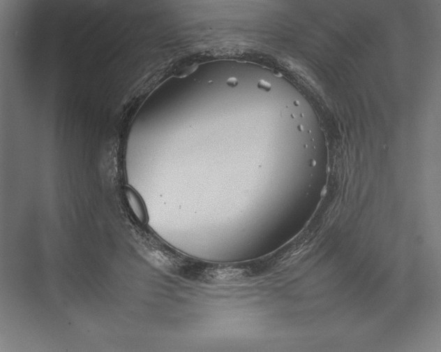 X0000074930501200609221642