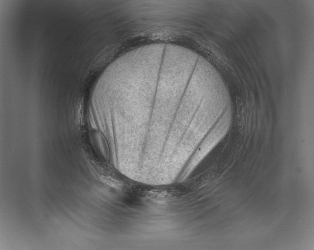 X0000074930502200609221642