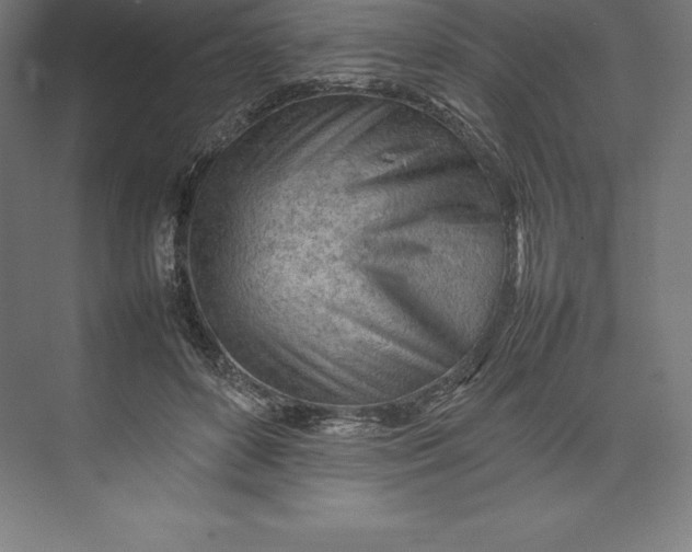 X0000074930504200609221642