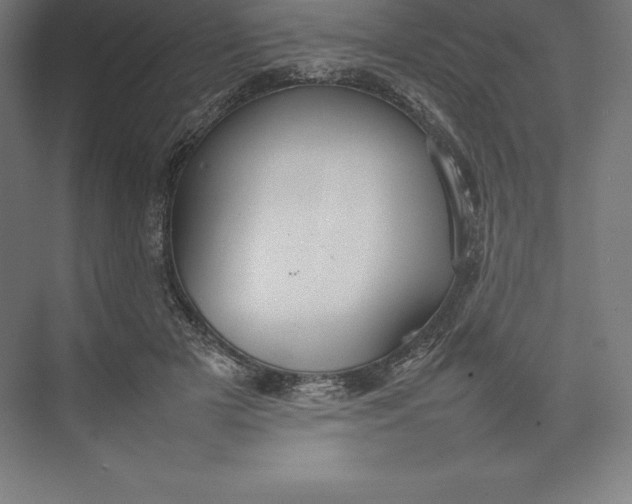 X0000074930505200609221642