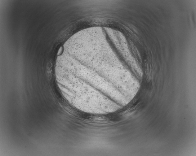 X0000074930507200609221642