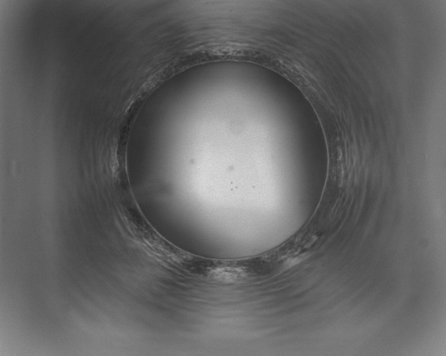 X0000074930508200609221642