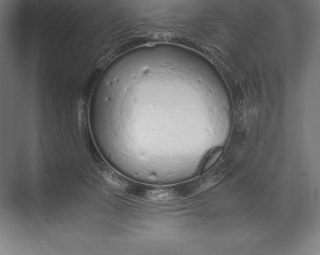 X0000074930511200609221642