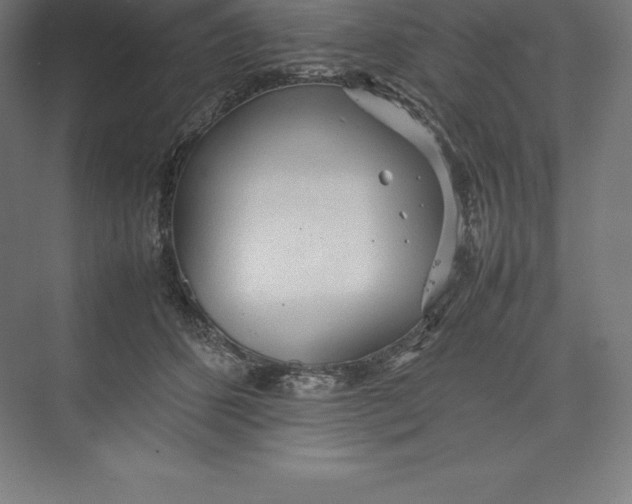 X0000074930512200609221642