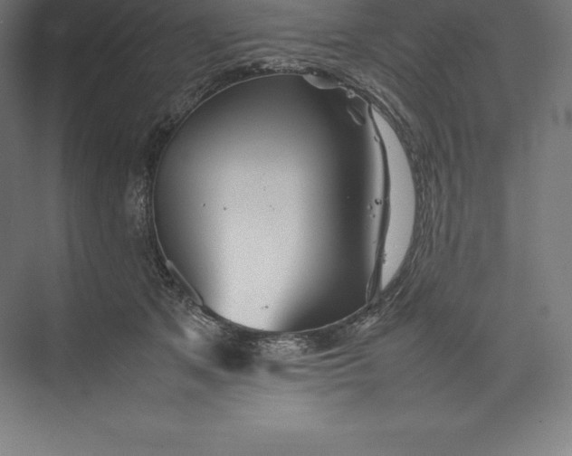 X0000074930513200609221642