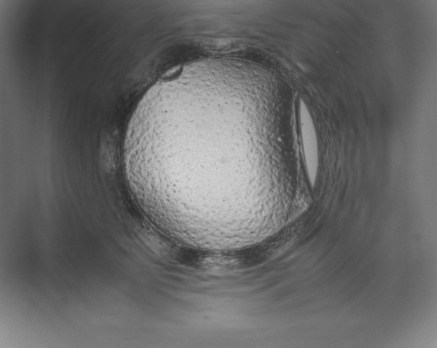 X0000074930515200609221642