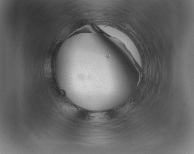 X0000074930516200609221642