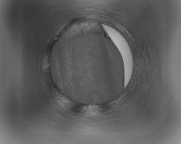 X0000074930517200609221642