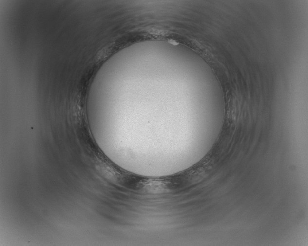 X0000074930518200609221642