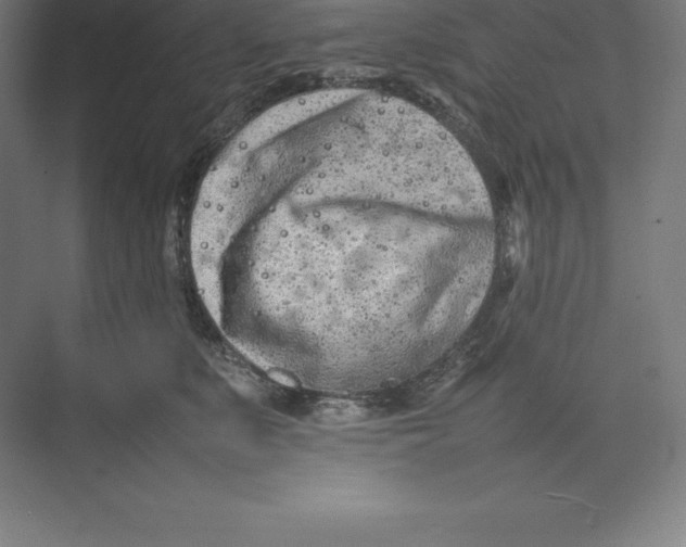 X0000074930519200609221642