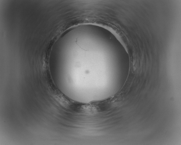 X0000074930520200609221642