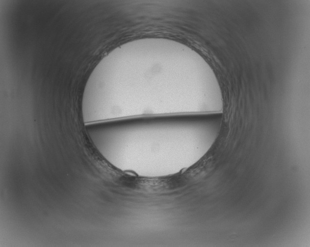 X0000074930521200609221642