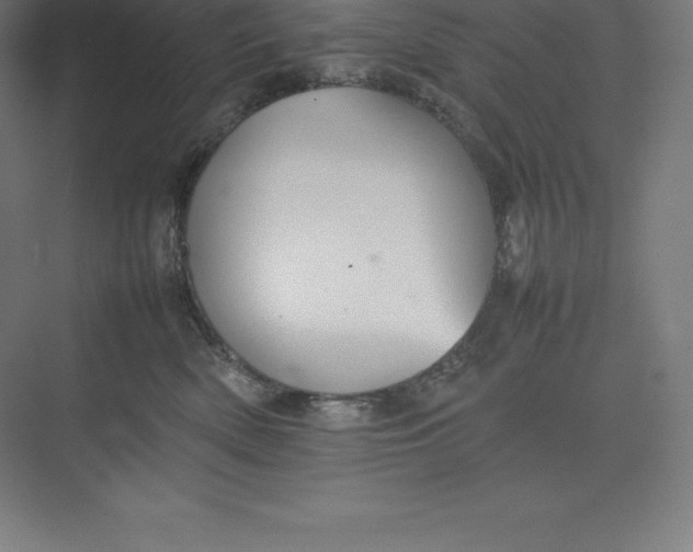 X0000074930522200609221642