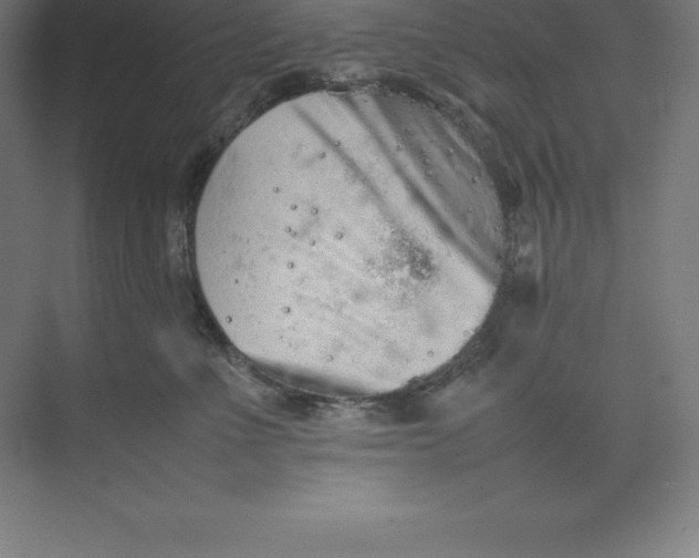 X0000074930523200609221642