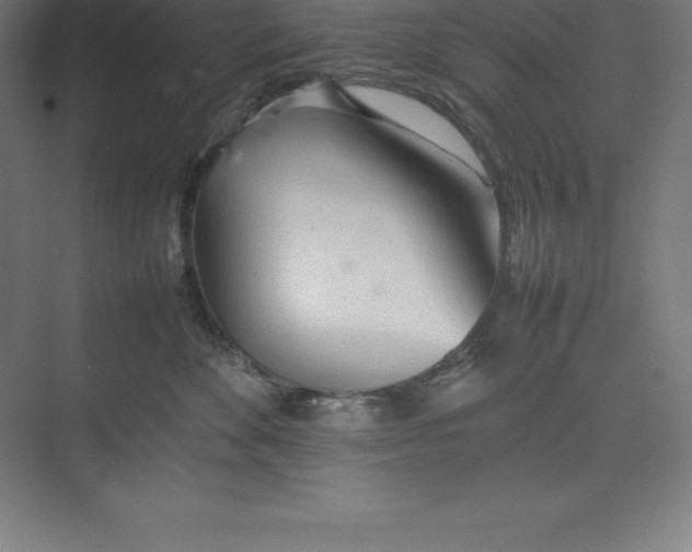 X0000074930524200609221642