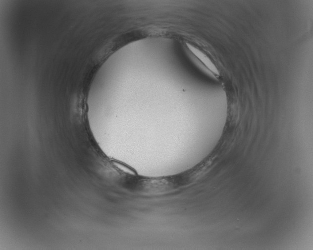 X0000074930525200609221642