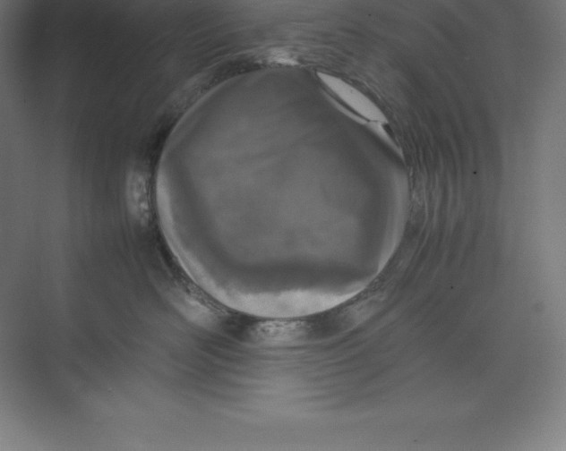 X0000074930526200609221642