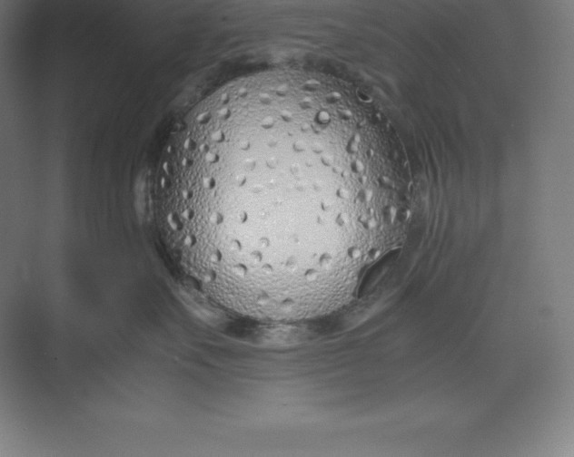 X0000074930527200609221642