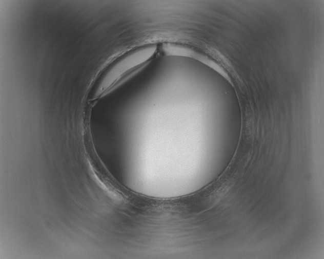 X0000074930530200609221641