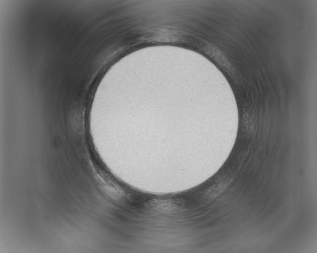 X0000074930534200609221641