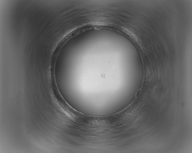 X0000074930535200609221641