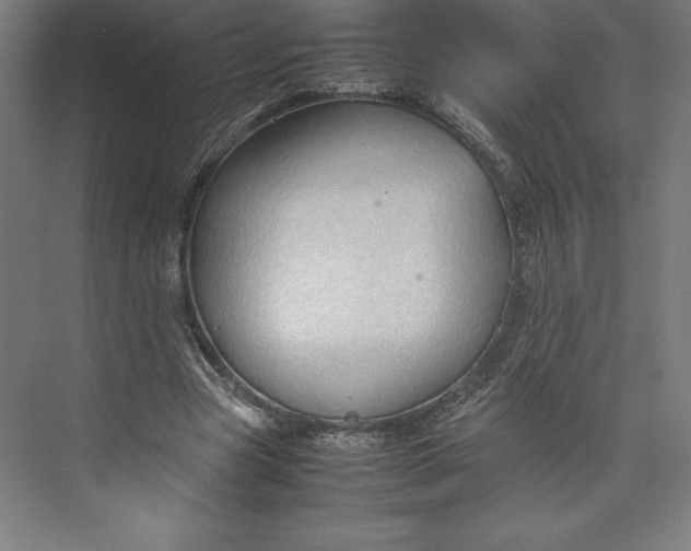 X0000074930537200609221641