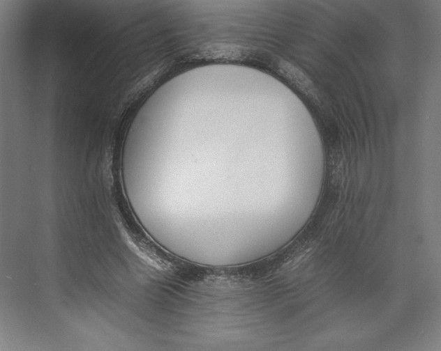 X0000074930538200609221641