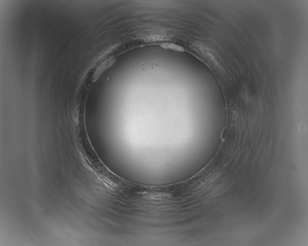 X0000074930539200609221641