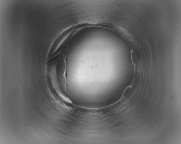 X0000074930540200609221641