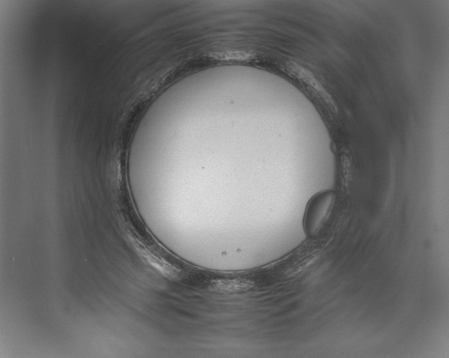 X0000074930541200609221641